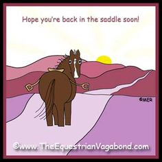 The Equestrian Vagabond: Get Well - Say It With Stormy! http ...