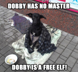 now dobby can clean his butt all day if dobby want