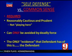 Slide used by prosecution in Zimmerman trial during closing argument)