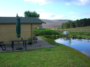 The studio.....at the bottom of my garden where the Fairies live.