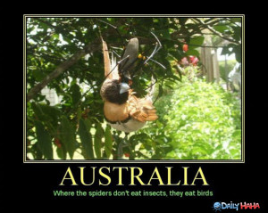 Australia_funny_picture