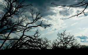 John Published September Full Size