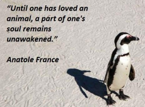 Famous quotes about animals 1