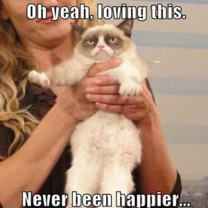 Life Alert Grumpy Cat Meme