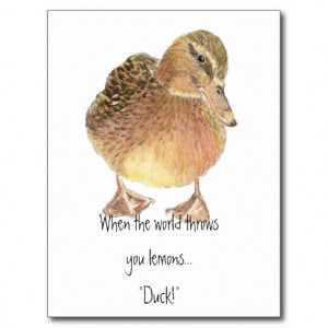 funny quote life throws lemon duck humour post cards