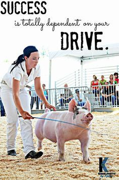 am so gonna show a pig next year at Fair More
