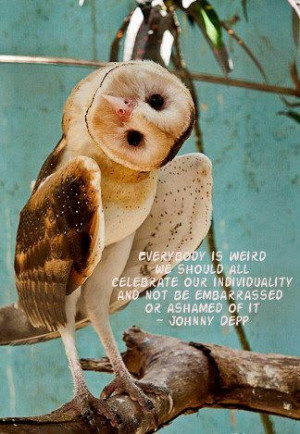 Found on sphotos-a.xx.fbcdn.net