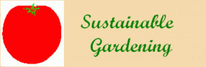 how to grow a sustainable garden sustainable gardening principles and