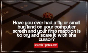 Have you ever had a fly or small bug land on your computer screen and ...