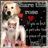 Share This Rose If You Have Lost A Pet Who Took A Piece Of Your Heart ...