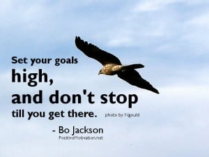 Funny Goal Setting Quotes