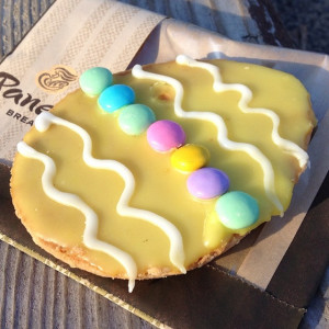 ... width=”500″ height=”400″ /> Easter Egg Cookie From Panera