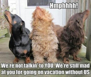 Lol dogs are hilarious... This will be peeta when I come back