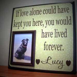 inspirational quotes about death of a pet pet pet inspiration and ...