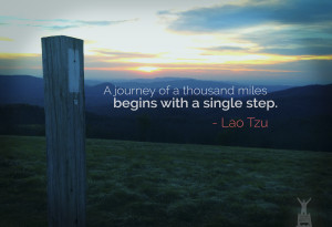 journey of a thousand miles begins with a single step.” – Lao ...