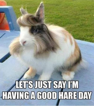 Funniest_Memes_let-s-just-say-i-m-having-a-good-hare-day_2842.jpeg