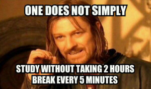funny-picture-study-break-time-Boromir