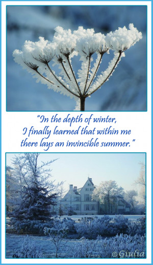 In the depth of the winter, i finally learned that within me lays an ...