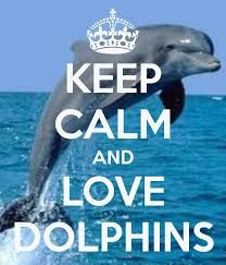 ... more dolphins tales dolphins privacy calms but calm photos calm quotes