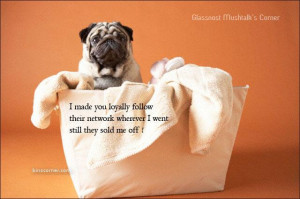 Sad Story With Hutch Dog...