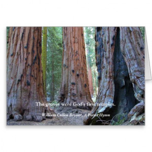 Temple of the Groves - Sacred Sequoia Trees, Quote Greeting Card