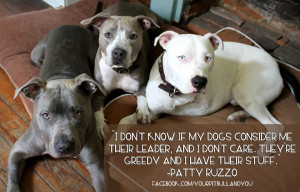 ... group emerging and i have to share with you i m a pit bull advocate