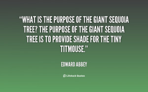 What is the purpose of the giant sequoia tree? The purpose of the ...