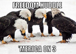funny-eagles-America-freedom-huddle