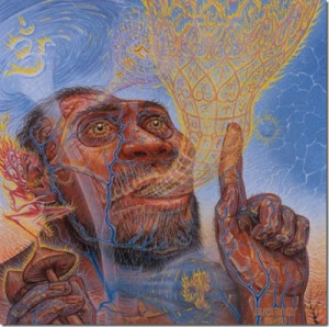 Terence McKenna on the Stoned Ape Theory