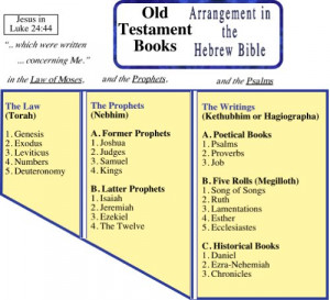 ... netOld Testament (OT) Bible Book Order and Charts | Living Commentary