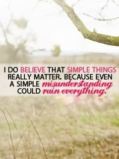 do believe that simple things really matter ~ Attitude Quote
