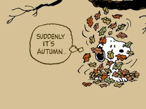 autumn snoopy peanuts comic strip 1280x960 wallpaper