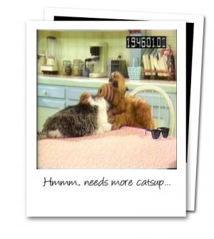 ALF Polaroid Photos!!!