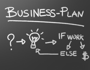 Business plan - financial and organziation plan