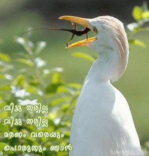Malayalam funny pictures,funny cinema news,funny pictures,Funny Images ...