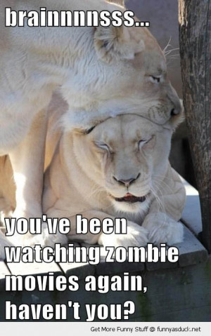 brains lions biting head zombie movies zoo animal funny pics pictures ...