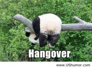 ... funny jokes, funny kids, funny memes, funny pictures, funny quotes