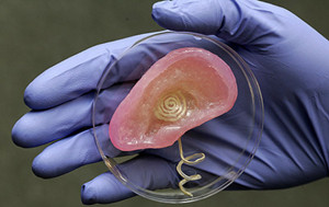what you need to know about 3d printed organs