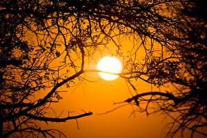 ... Sunrise: Sunrise scenery from Kruger National Park, South Africa