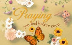 Get Well Soon Messages Religious | Get Well Flowers (KJV) Postcard 25 ...