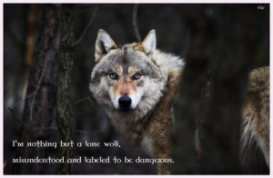 , white, wisdom beautiful, grey wolf, wild animal black, quotes ...