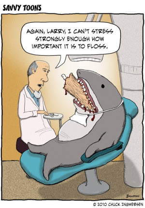 external image savvy-toon-shark-dentist.jpg