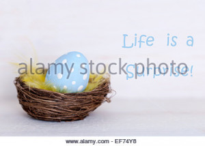 Stock Photo - One Blue Dotted Easter Eggs In Easter Basket Or Nest On ...