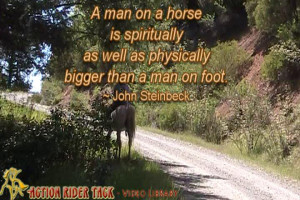 Horse Riding Quotes And Quotes