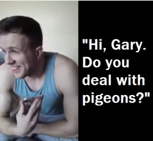Pigeon Prank Call Comedy Quotes
