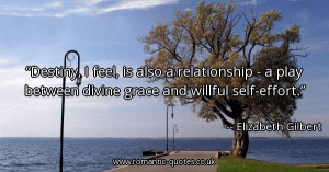 destiny-i-feel-is-also-a-relationship-a-play-between-divine-grace-and ...