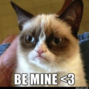 Be My Valentine Cat