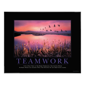 Teamwork Framed Motivational Print