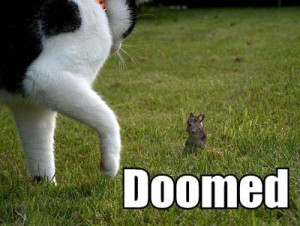 Posted on February 2, 2010 by William