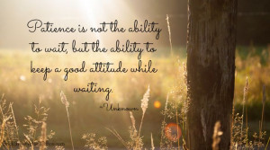 Patience and Attitude #blogboost